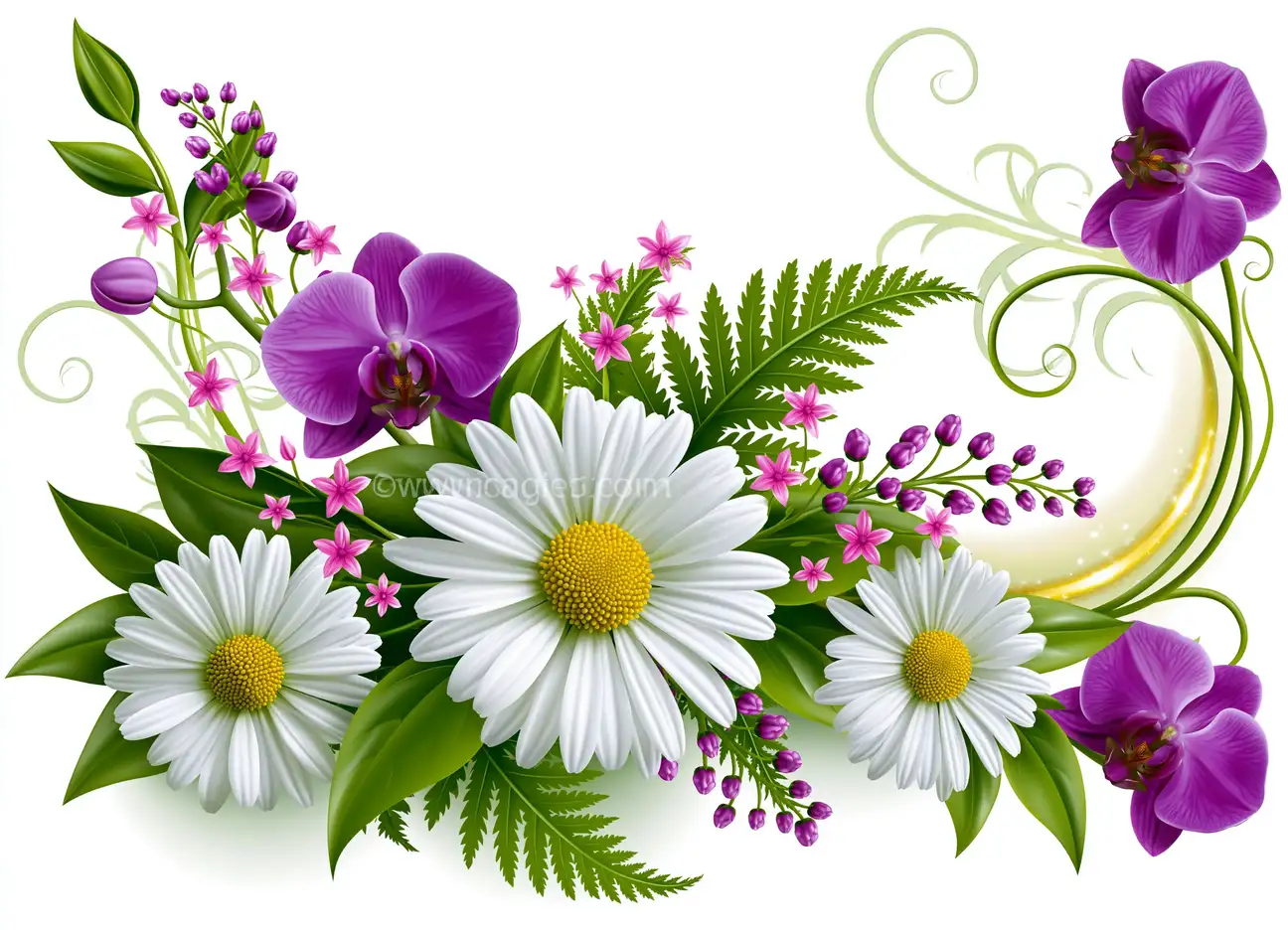 Floral composition with white daisies and purple orchids