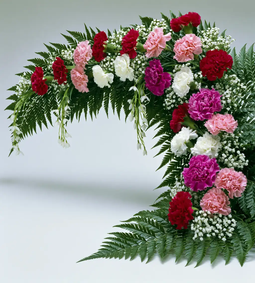 Curved floral arrangement with carnations and ferns on light background