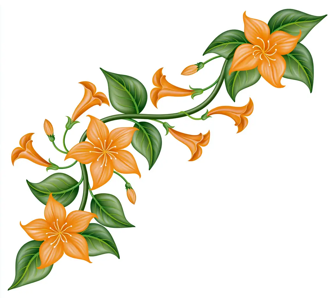 Orange flowering vine branch illustration isolated on white background